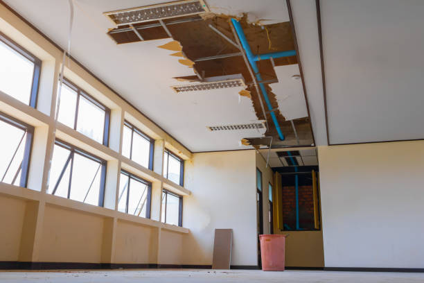 Best Water damage restoration near me  in Gladeview, FL