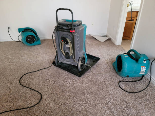 Best Ceiling water damage repair  in Gladeview, FL