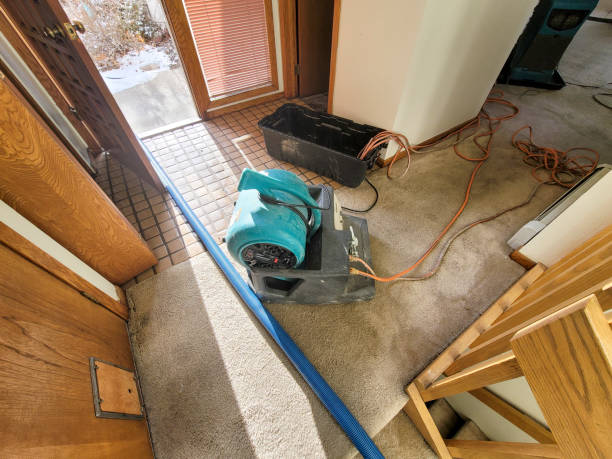 Best Sewage cleanup and water damage restoration  in Gladeview, FL