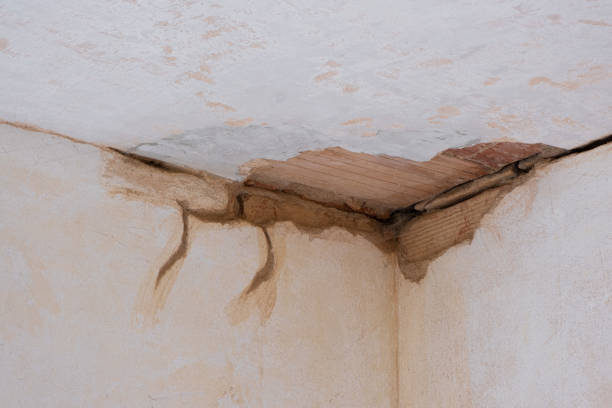  Gladeview, FL Water damage restoration Pros