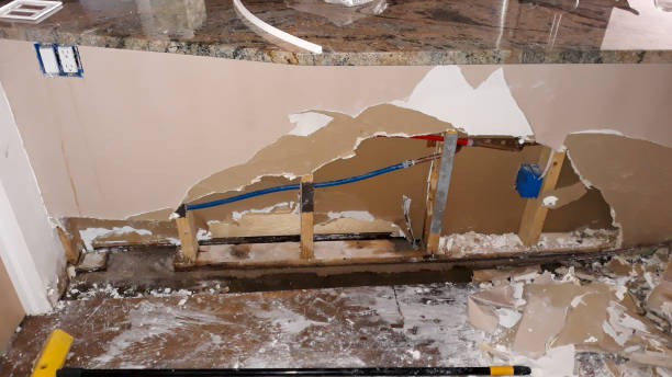 Best Commercial water damage restoration  in Gladeview, FL