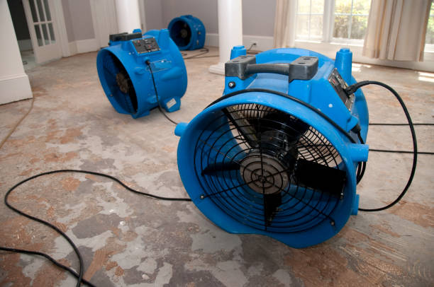 Best Flooded house restoration  in Gladeview, FL