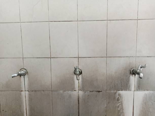 Best 24-hour water damage restoration  in Gladeview, FL