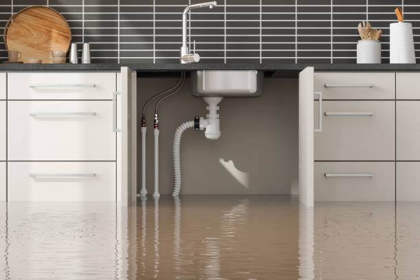 Gladeview, FL Water damage restoration Company
